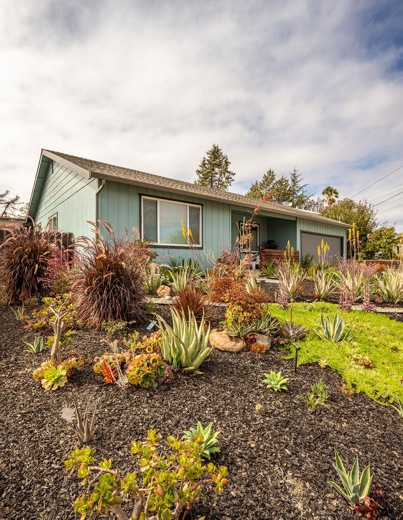 Front of the house and the garden